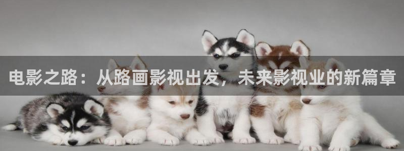 南瓜影院在线播放：电影之路：从路画影视出发，未来影视业的新篇章