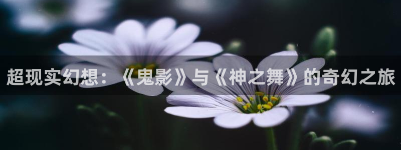 南瓜视频在线观看：超现实幻想：《鬼影》与《神之舞》的奇幻之旅