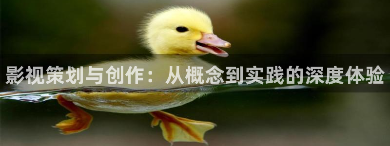 下载南瓜影院：影视策划与创作：从概念到实践的深度体验