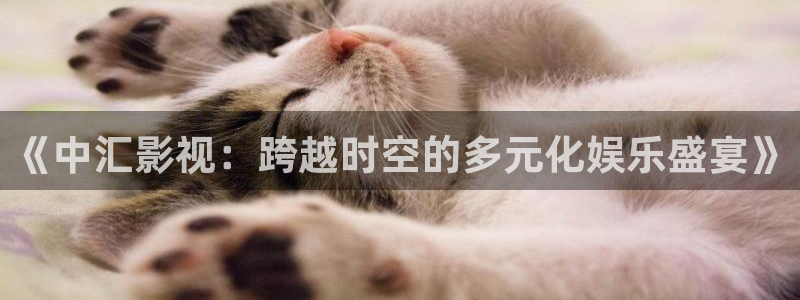 南瓜影视网：《中汇影视：跨越时空的多元化娱乐盛宴》