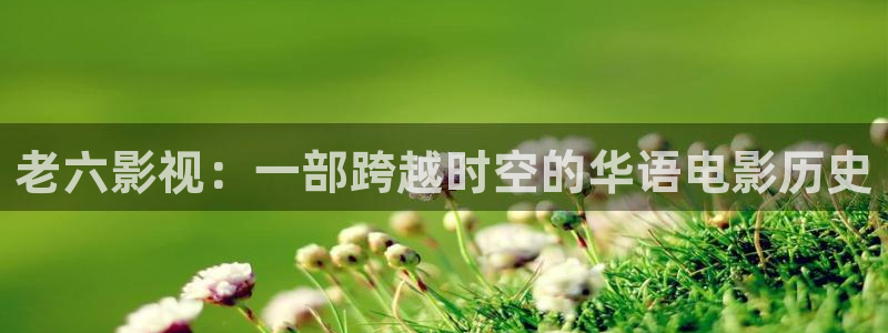 海南蜜本南瓜：老六影视：一部跨越时空的华语电影历史