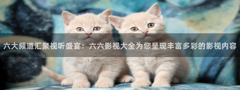 南瓜电影网：六大频道汇聚视听盛宴：六六影视大全为您呈现丰富多彩的影视内容