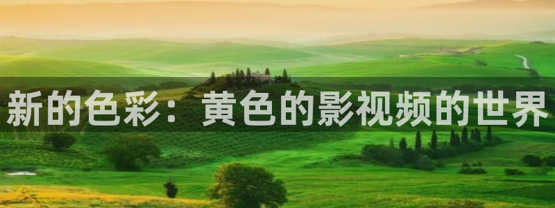 南瓜包：新的色彩：黄色的影视频的世界