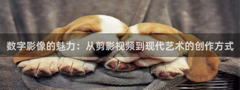 上海南瓜：数字影像的魅力：从剪影视频到现代艺术的创作方式