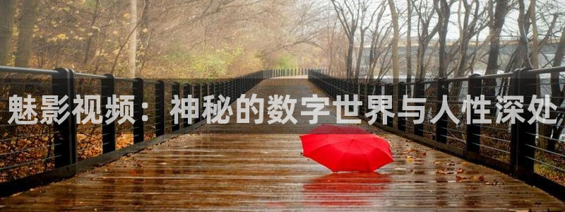南瓜浙江：魅影视频：神秘的数字世界与人性深处